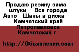 Продаю резину зима 2 штуки  - Все города Авто » Шины и диски   . Камчатский край,Петропавловск-Камчатский г.